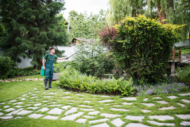 Best Affordable Pest Control Services  in Georgetown, CA