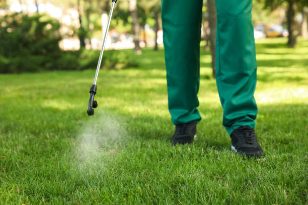 Best Residential Pest Control  in Georgetown, CA