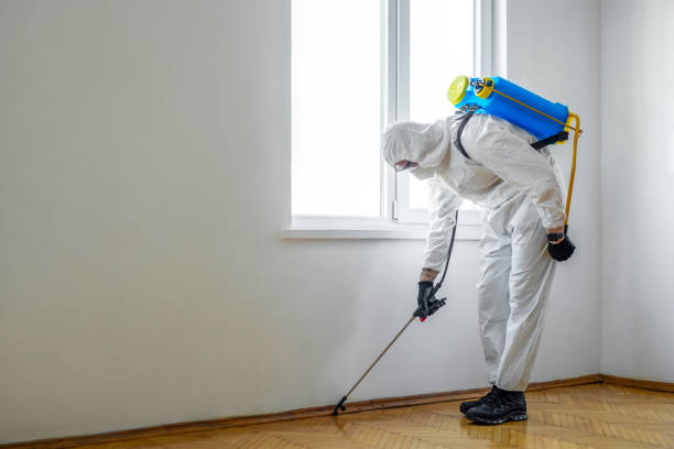Reliable Georgetown, CA Pest Control Solutions