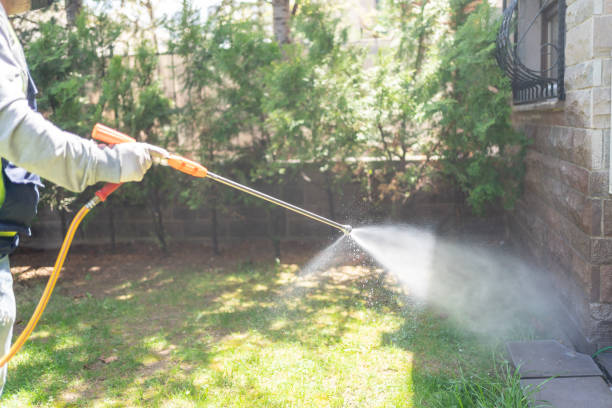 Best Flea Control Services  in Georgetown, CA