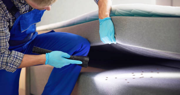 Best Mosquito Control Services  in Georgetown, CA