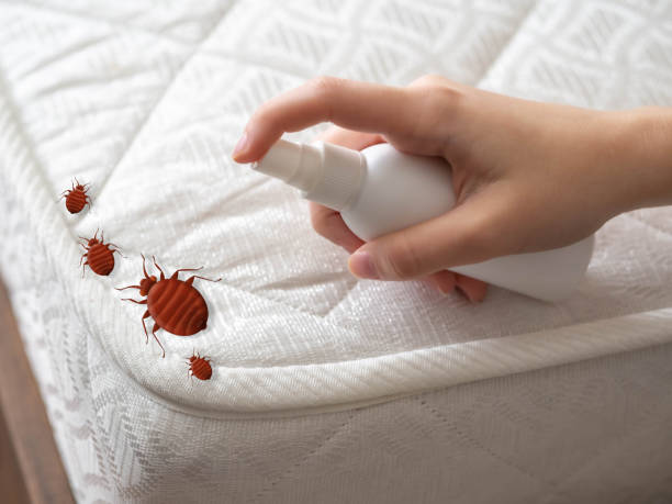 Best Pest Prevention Services  in Georgetown, CA