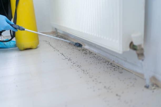 Best Best Pest Control Companies  in Georgetown, CA
