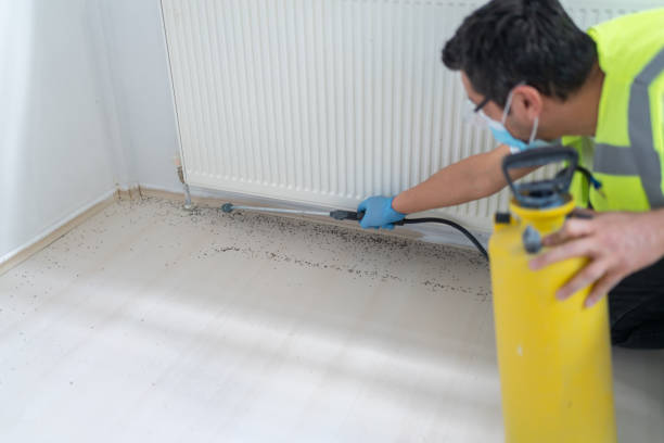 Best Pest Inspection Near Me  in Georgetown, CA